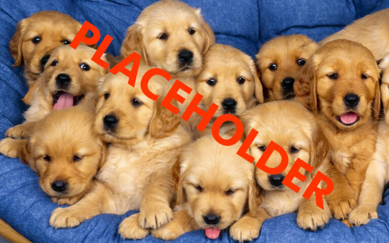 Deportes Placeholder Post