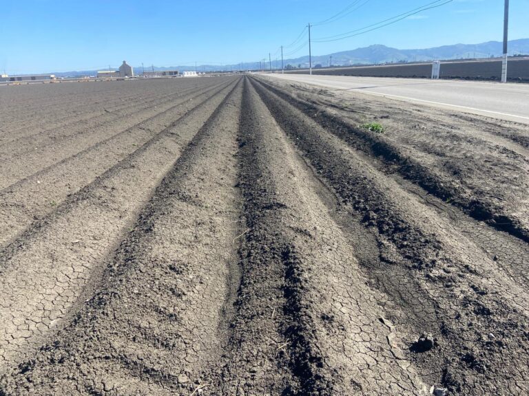 Spray Days: Un Sistema Revolucionario para la Notificación de Pesticidas en California