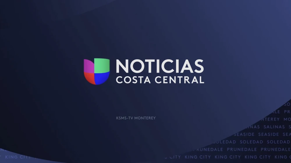 El analista financiero Ezequiel Vega alertó sobre el plan económico