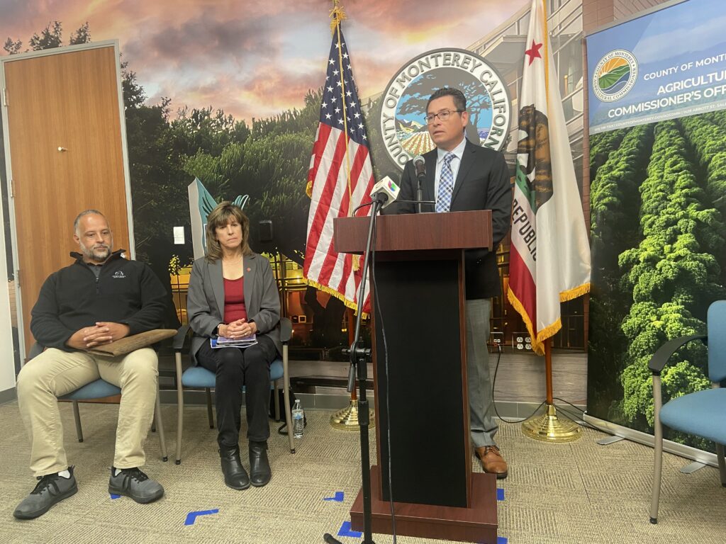 La Agricultura en el Condado de Monterey Rompe Récords, pero Enfrenta Retos por la Política Migratoria