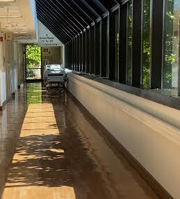 Aumentan los casos de fiebre del Valle en el condado de Monterey