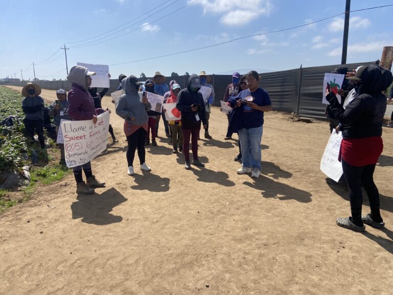 Trabajadores agrícolas protestan en Salinas por mejores condiciones laborales