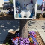 Ricardo Archundia se declara culpable de homicidio vehicular por la muerte de Fermín Maldonado en Salinas