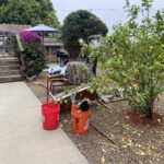 Un avión a control remoto se estrella en una casa durante espectáculo aéreo en Watsonville