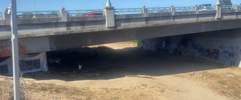 Recurso de Fuerza”: Casitas para personas sin hogar en Watsonville ofrecen refugio y esperanza