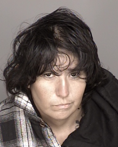 Mujer es arrestada en Salinas por asaltar a niños y poner en peligro a menores