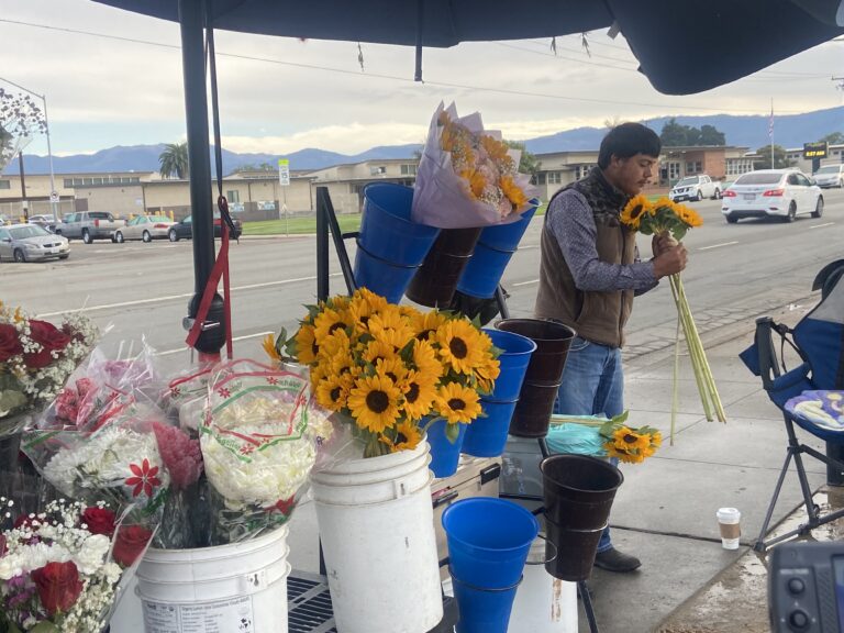 Vendedores ambulantes celebran nueva ley que protege su privacidad y dignidad