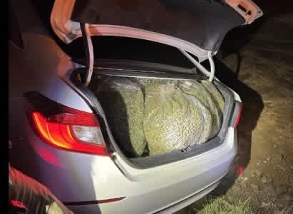 Nueve detenidos tras violento robo a invernadero de cannabis en Chualar