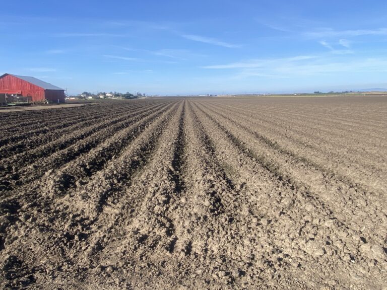 Crímenes agrícolas deja más de $30 millones en pérdidas en California