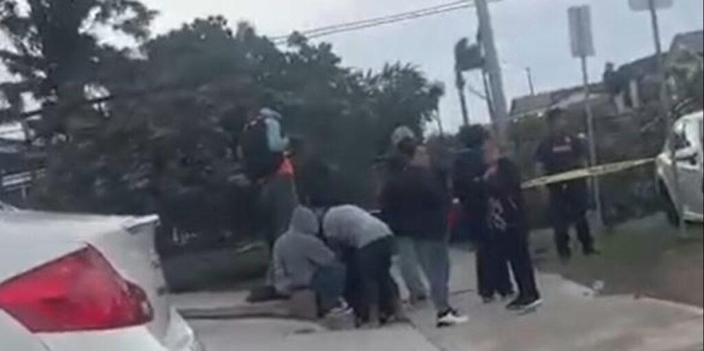 Trágica Caída de Árbol en City Heights: Un Hombre Pierde la Vida