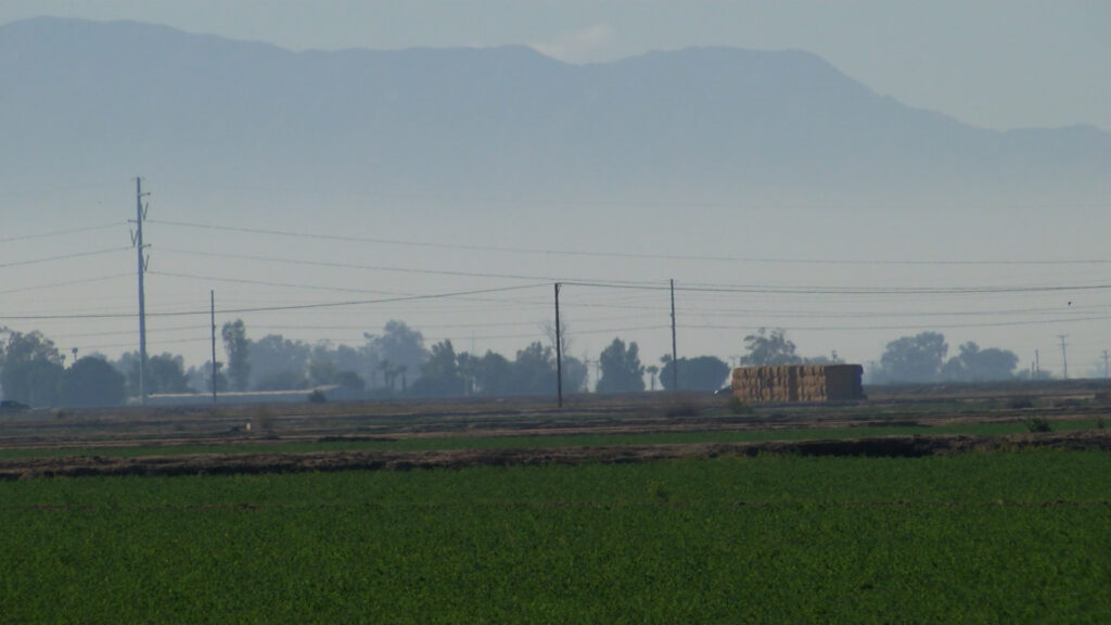 Evita la Contaminación: Consejos para No Hacer Fogatas en Fin de Año en Mexicali