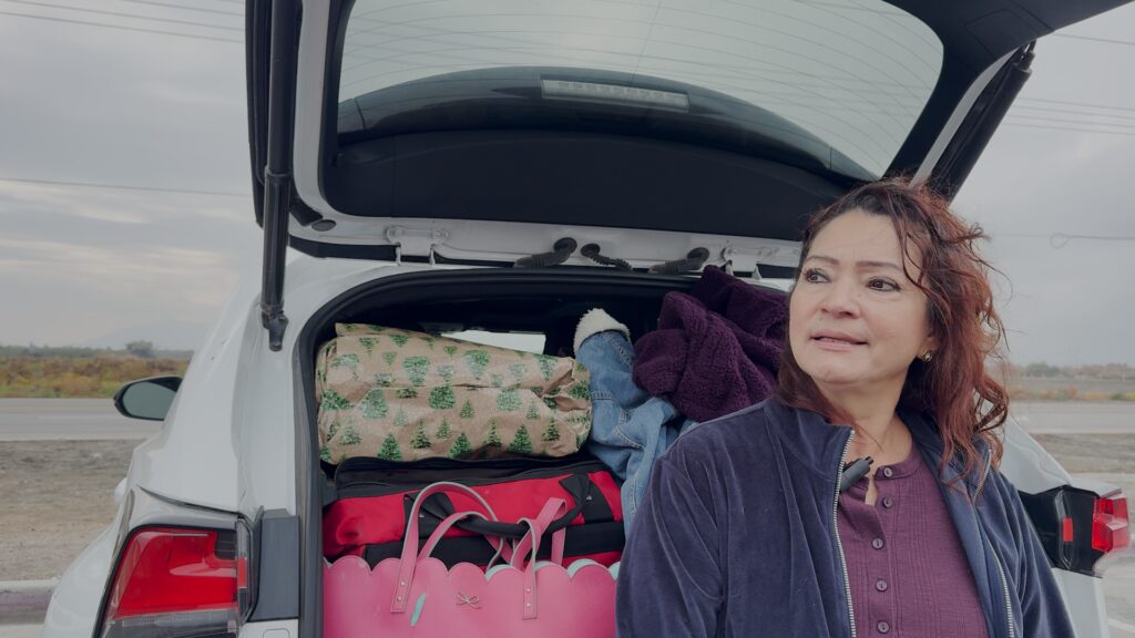 Viajes Navideños: Seguridad y Preparación Alta en Carretera