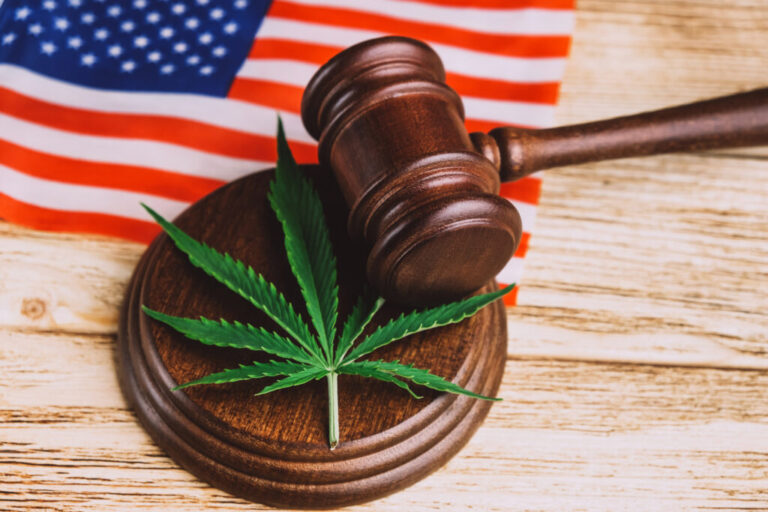 Corte Suprema Examina Derechos Constitucionales: ¿Es Legal que Consumidores de Marihuana Posean Armas?