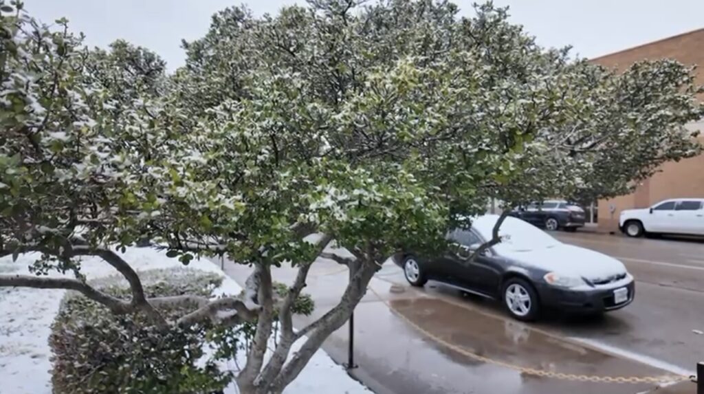 Nieve en el Permian Basin: Precauciones Urgentes para Residentes y Visitantes