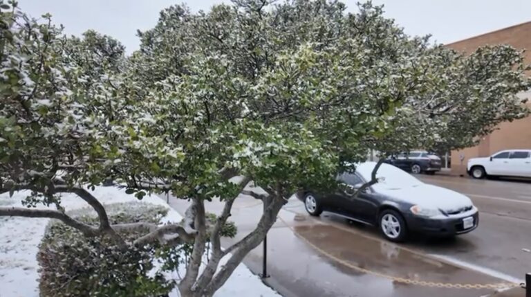 Nieve en el Permian Basin: Precauciones Urgentes para Residentes y Visitantes