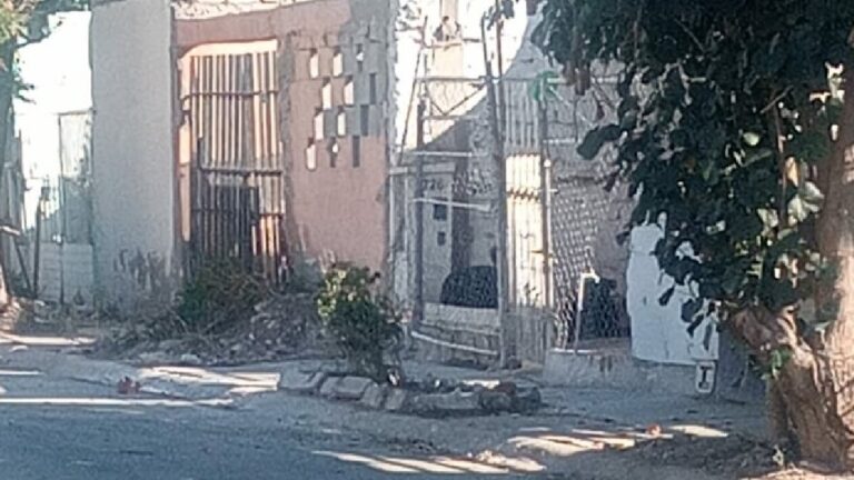 Perros Agresivos y Abandono de Espacios Públicos: Denuncian Peligro en Quintas los Nogales, Torreón