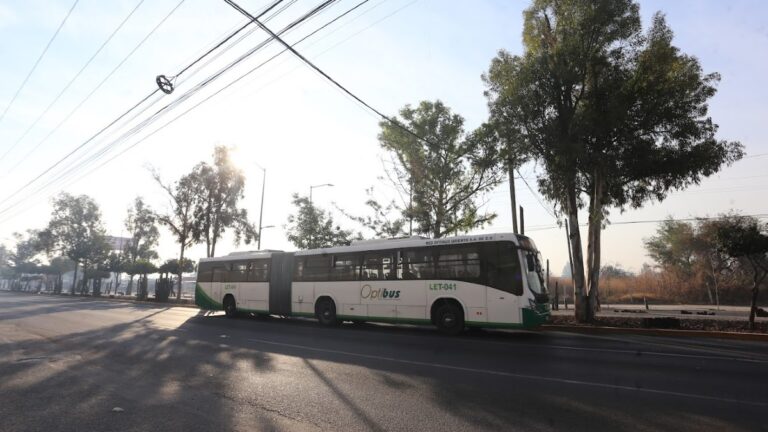 Retrasos en el Transporte Público de León: Esperas de Hasta 30 Minutos Este 1 de Enero 2026