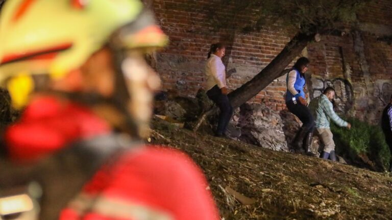 Incendios en Viviendas: Festejos de Fin de Año dejan 17 Incidentes en León