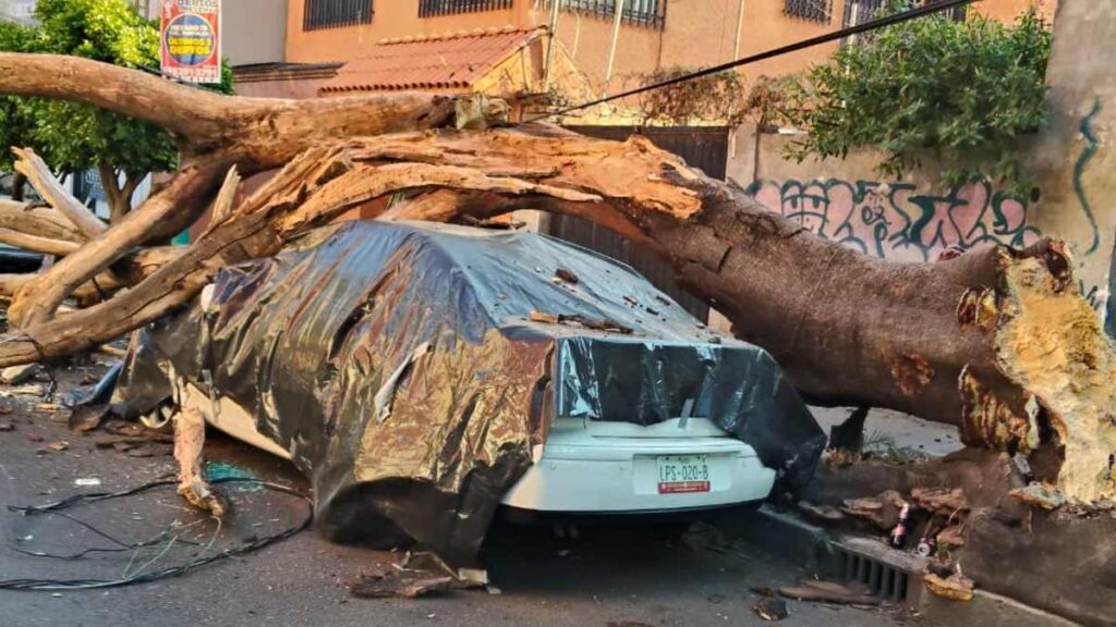 Sismo en San Marcos, Guerrero: Más de 30 inmuebles afectados y 2 en riesgo de colapso en CdMx