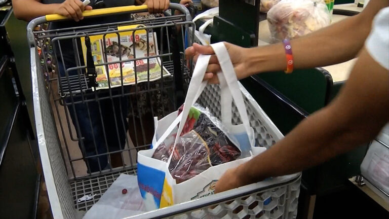 Nueva Ley de Bolsas de Plástico en California: Impacto en Supermercados y Consumidores