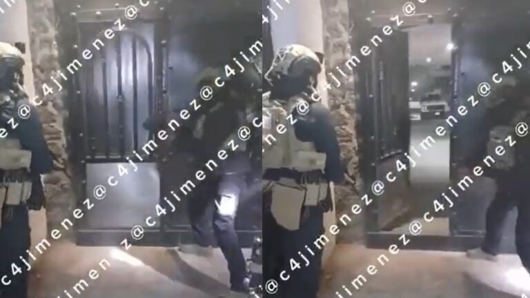 Operativo en Xochimilco: Nacen Perritos y se Descubren Armas del Cártel de Sinaloa