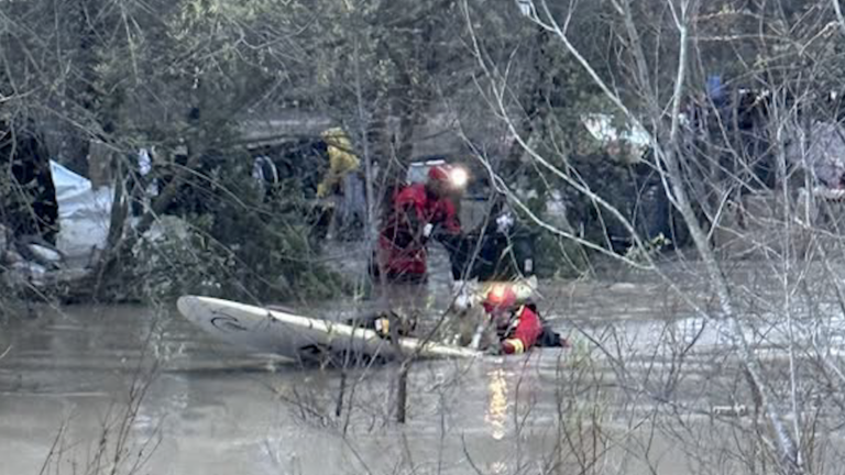 Rescate heroico en Pajaro Valley: mujer y sus perros a salvo