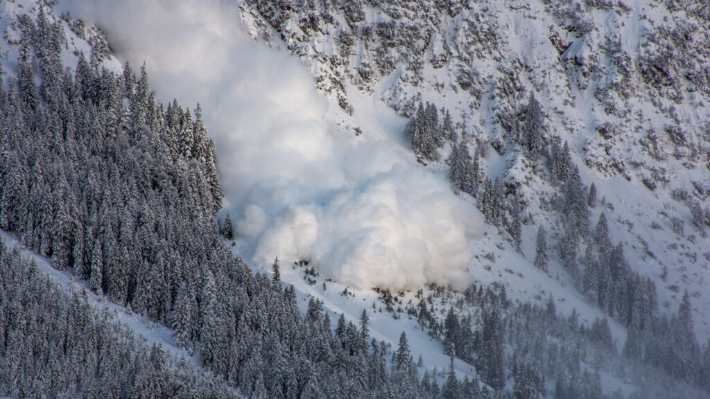 Exalumna de Boston College, Kate Vitt, entre las víctimas de la avalancha en California