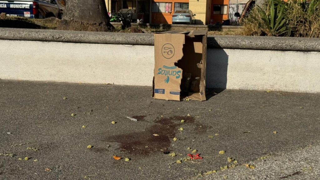 Tragedia en Zapopan: Mujer embarazada pierde la vida en balacera frente a sus hijos