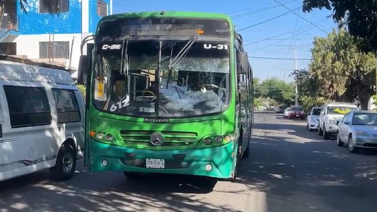 Trágico accidente: Niño de 8 años es atropellado por camión de la ruta 612 en Guadalajara