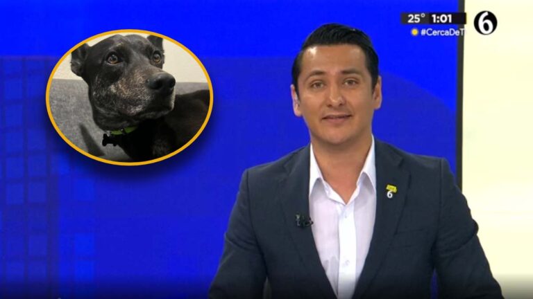 Erik Solheim del Telediario solicita ayuda para encontrar a su perrito Zack