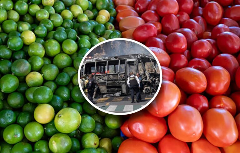 Aumento de precios del jitomate y limón en Jalisco tras bloqueos
