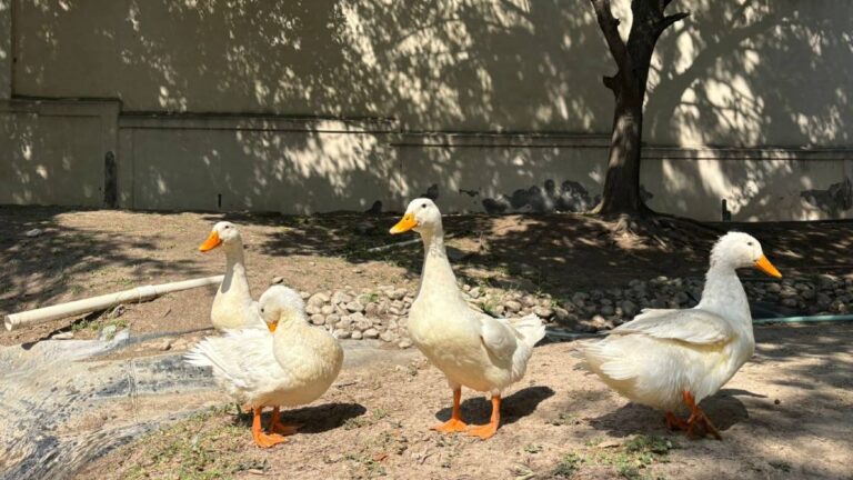 Tragedia en Parque Corporativo Santa Engracia: Importancia de Respetar Señalamientos de Tráfico