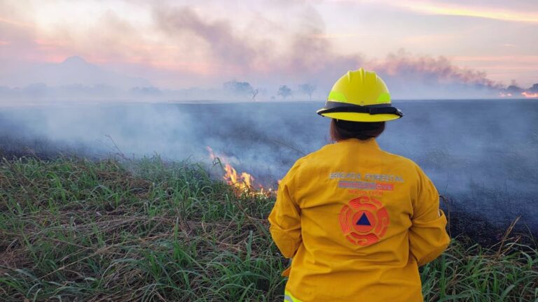 Incendios en Nuevo León: Más de mil incendios reportados en febrero 2023