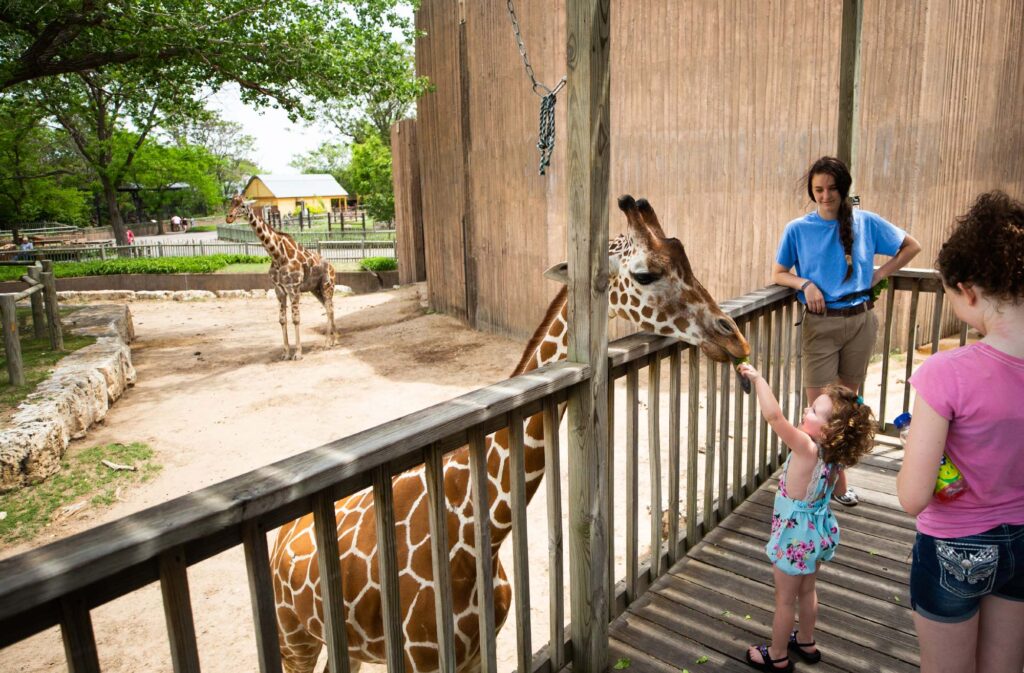 ¡Apoya al Sedgwick County Zoo y ayúdanos a ser uno de los 10 mejores zoológicos de EE.UU.!