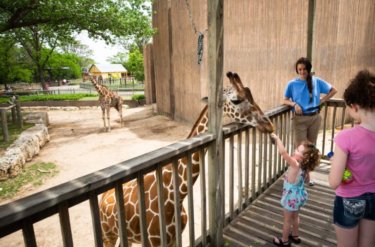¡Apoya al Sedgwick County Zoo y ayúdanos a ser uno de los 10 mejores zoológicos de EE.UU.!