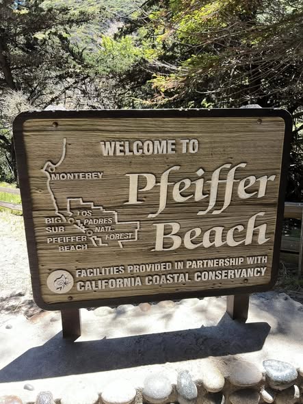 Joven de 17 años muere en Pfeiffer Big Sur State Park durante incidente en el agua
