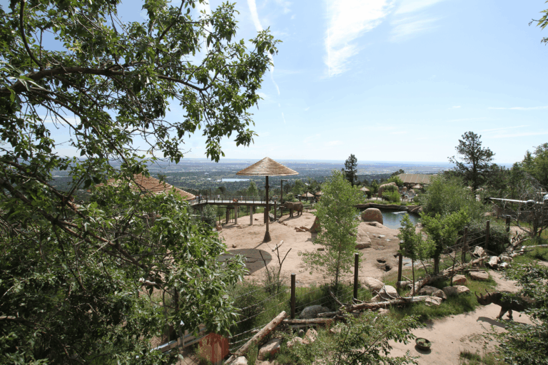 Zoológico Cheyenne Mountain: Segundo Mejor de EE.UU. y Líder en Conservación y Educación