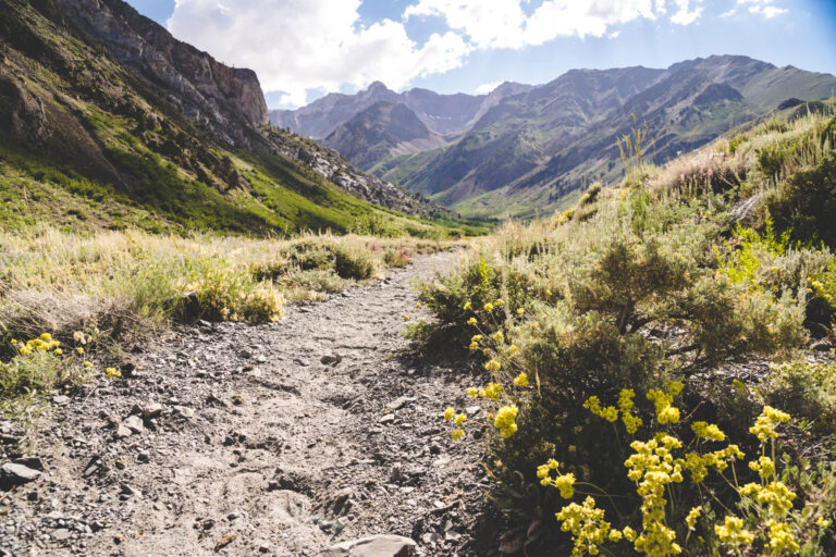 Trágico Hallazgo: Hombre Desaparecido en El Cajon Mountain Encontrado Muerto