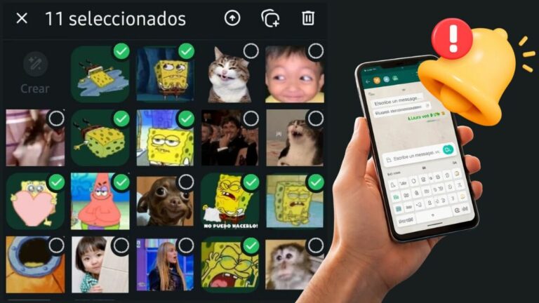 Descubre Cómo Organizar Tus Stickers de WhatsApp Eficazmente