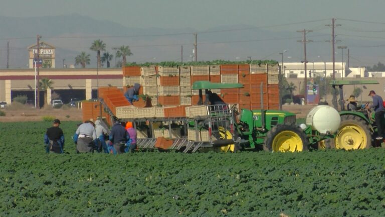 California y la costa central conmemoran por primera vez el Día de los Trabajadores del Campo