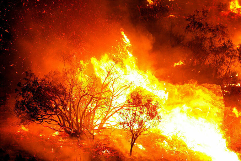 Prevención de Incendios en Colorado: Millonaria Inversión para Aumentar la Seguridad
