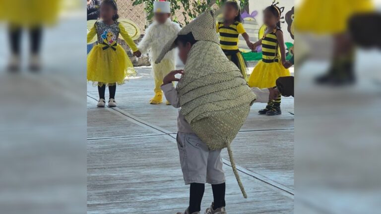 Impacto del Festival de Primavera: Niño Armadillo Cautiva con Disfraz Artesanal