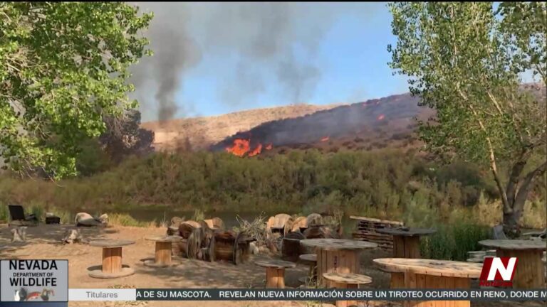 Quemas Controladas: Proteger a Galena de Incendios Devastadores