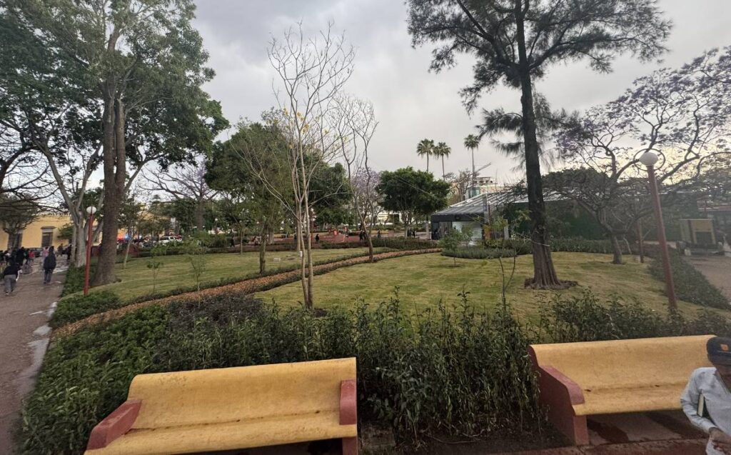 Descubre las actividades del Parque Rojo tras su emocionante reinauguración