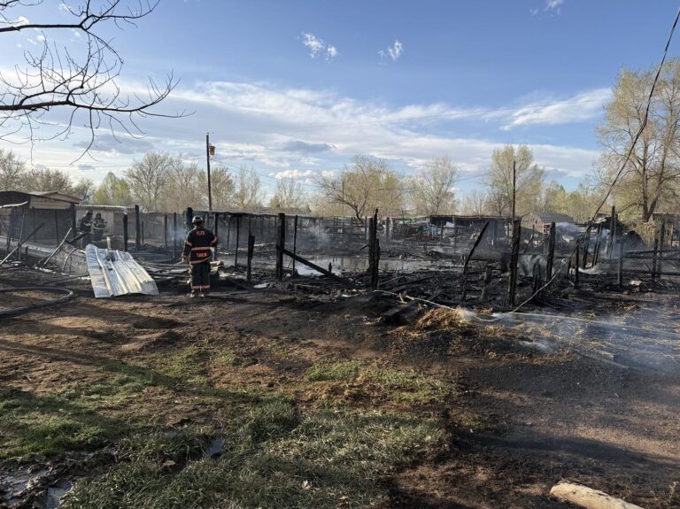 Trágico Incendio en Fort Lupton: Mueren Varios Animales de Granja