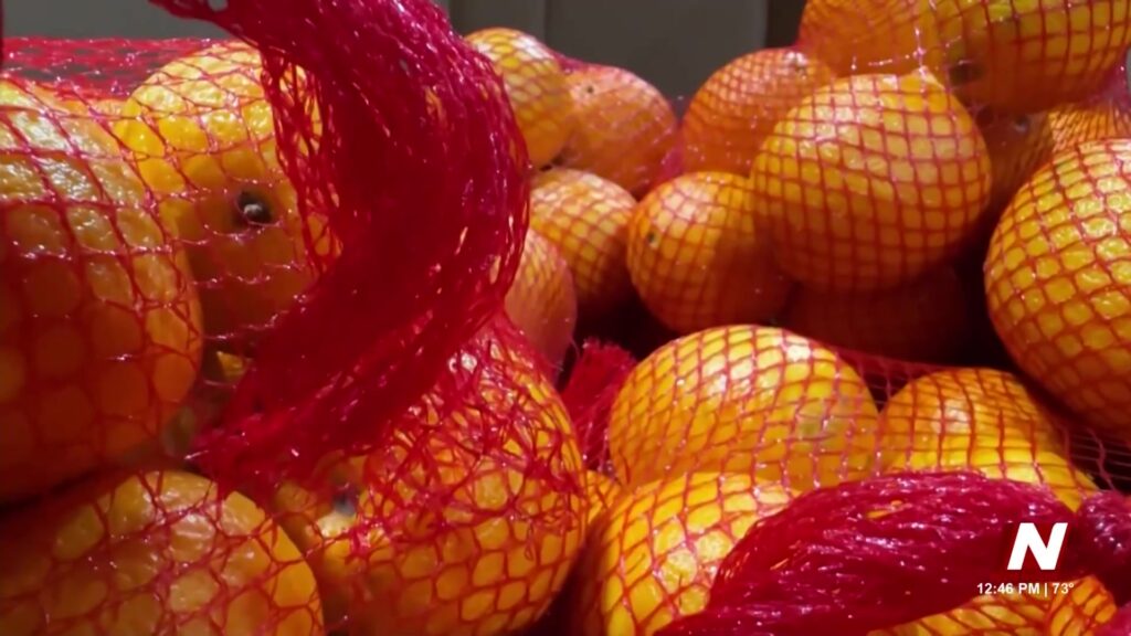 Impacto de la Reducción de Beneficios de CalFresh en San Diego: Crisis de Asistencia Alimentaria
