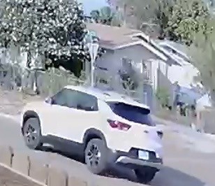 Tiroteo en Donna: Policía Busca Sospechoso de SUV Blanco