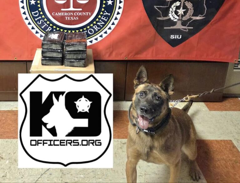 Yak K-9: La Nueva Arma del Condado Cameron Contra el Narcotráfico