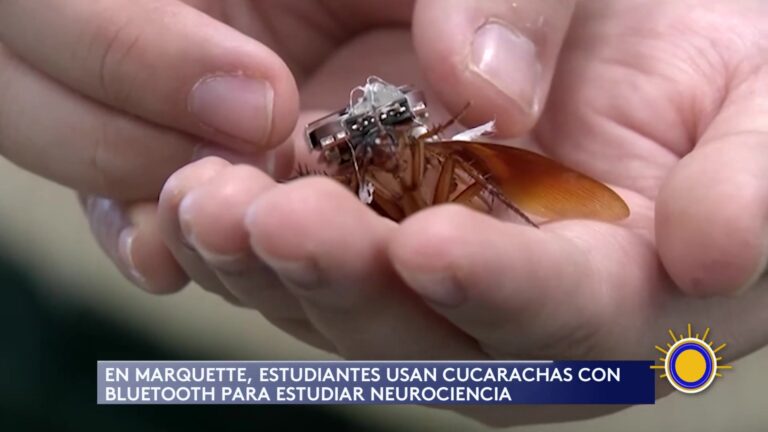 Marquette Tecnología Educación: Innovador Experimento Educativo En La Universidad De Marquette
