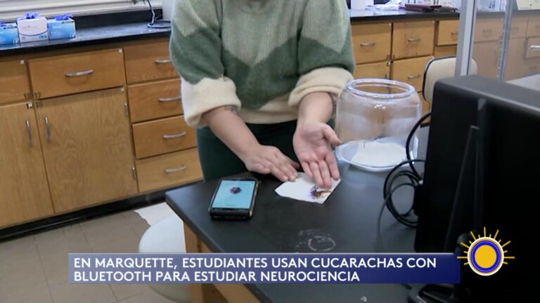 Innovador Proyecto de Neurociencia con Cucarachas Bluetooth en la Universidad de Milwaukee